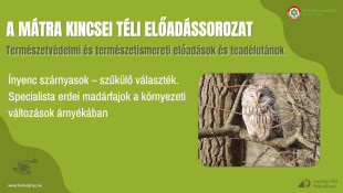 A Mátra Kincsei téli előadássorozat - Ínyenc szárnyasok – szűkülő választék. Specialista erdei madárfajok a környezeti változások árnyékában