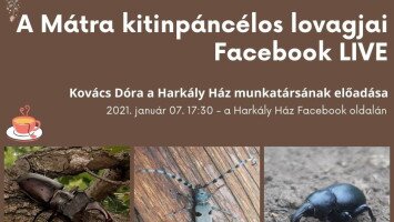 A Mátra kitinpáncélos lovagjai-Facebook LIVE