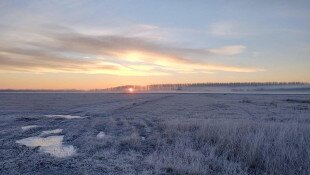 A megfagyott mezőkön sem áll meg az élet – pillanatképek a téli pusztából