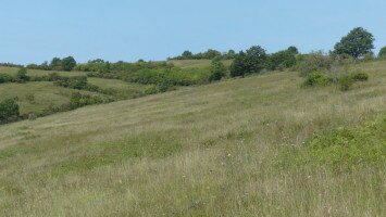 A pannon gyepek és kapcsolódó élőhelyek hosszú távú megőrzése az Országos Natura 2000 Priorizált Intézkedési Terv stratégiai intézkedéseinek megvalósításával