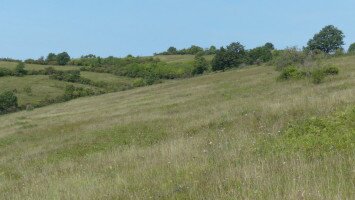 A pannon gyepek és kapcsolódó élőhelyek hosszú távú megőrzése az Országos Natura 2000 Priorizált Intézkedési Terv stratégiai intézkedéseinek megvalósításával