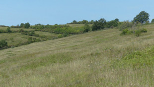 A pannon gyepek és kapcsolódó élőhelyek hosszú távú megőrzése az Országos Natura 2000 Priorizált Intézkedési Terv stratégiai intézkedéseinek megvalósításával
