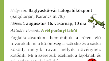 A rét parányi lakói