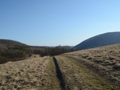 ASCII                                       