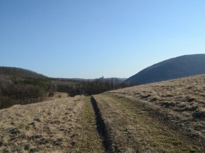 ASCII                                       