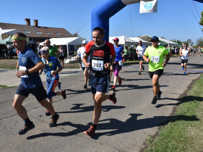 ASCII                                       