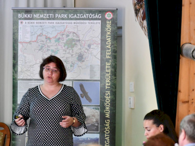 ASCII                                       