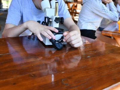 ASCII                                       