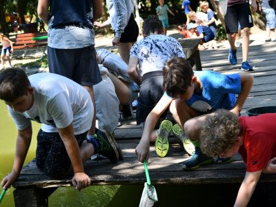 ASCII                                       