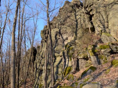 ASCII                                       