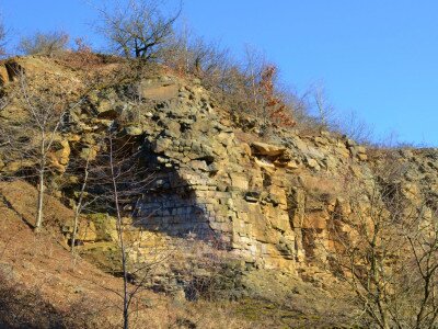 ASCII                                       