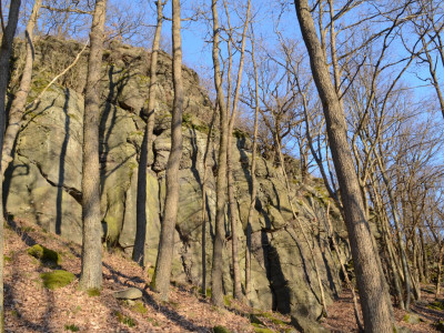 ASCII                                       