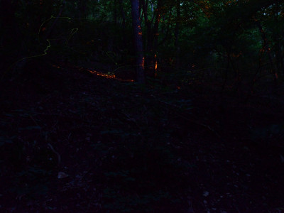 ASCII                                       