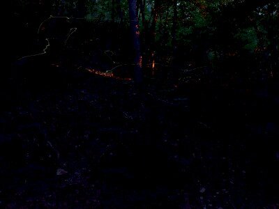 ASCII                                       