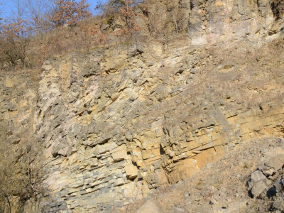 ASCII                                       