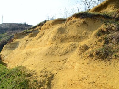 ASCII                                       