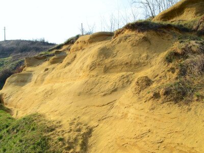 ASCII                                       