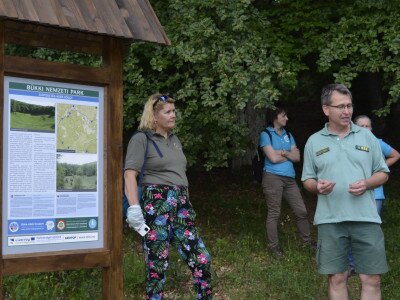 ASCII                                       