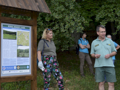 ASCII                                       