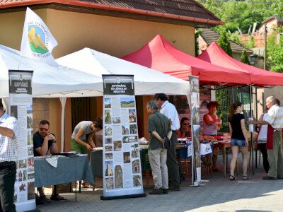 ASCII                                       