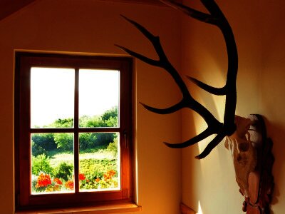 ASCII                                       