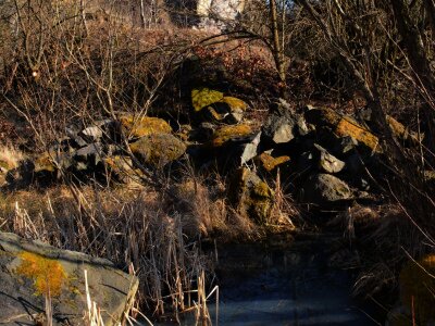 ASCII                                       