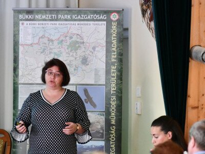 ASCII                                       