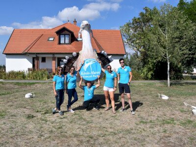 ASCII                                       