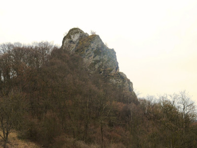 ASCII                                       