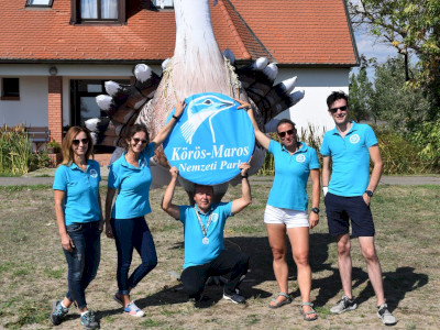 ASCII                                       