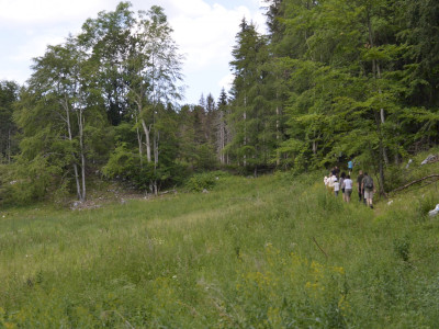 ASCII                                       