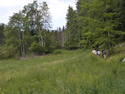 ASCII                                       