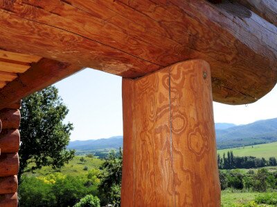 ASCII                                       