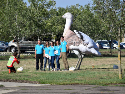 ASCII                                       