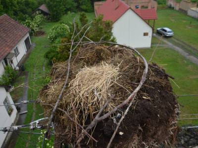 ASCII��� �����������������������������������