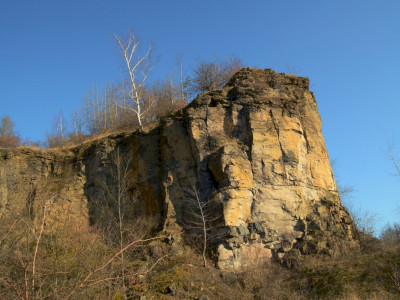 ASCII                                       