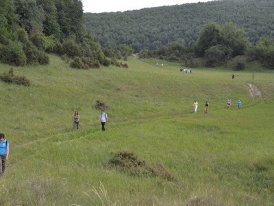 ASCII                                       