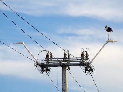 ASCII                                       