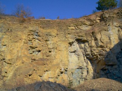 ASCII                                       