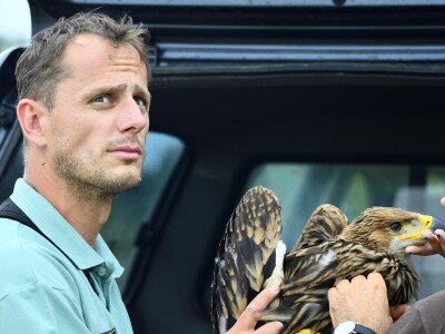 ASCII                                       