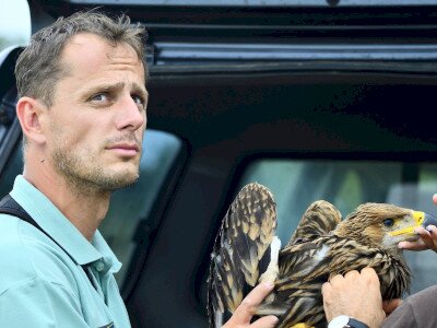 ASCII                                       