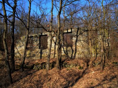 ASCII                                       