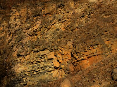 ASCII                                       