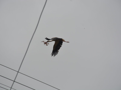 ASCII��� �����������������������������������