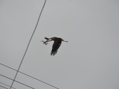 ASCII��� �����������������������������������