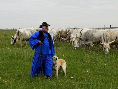 ASCII                                       