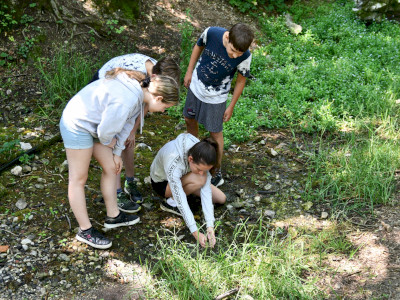 ASCII                                       