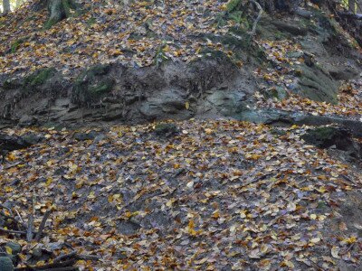 ASCII                                       