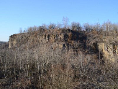 ASCII                                       