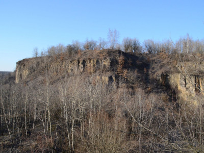 ASCII                                       